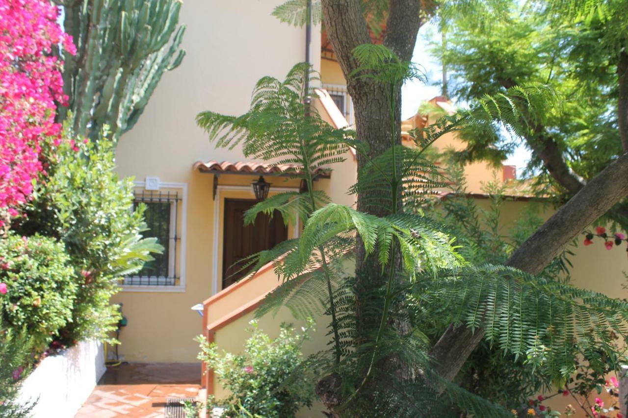 Vila La Mariolina Sanremo Exteriér fotografie